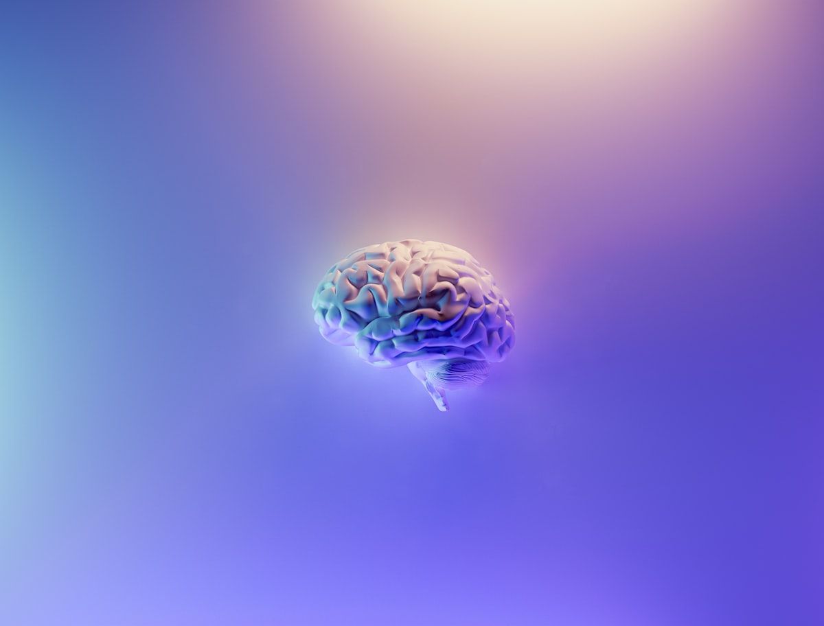 Neural connections representing memory formation and consolidation
